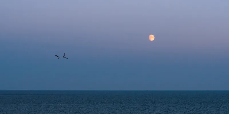 Moonflight, Falmouth Bay. 2021.